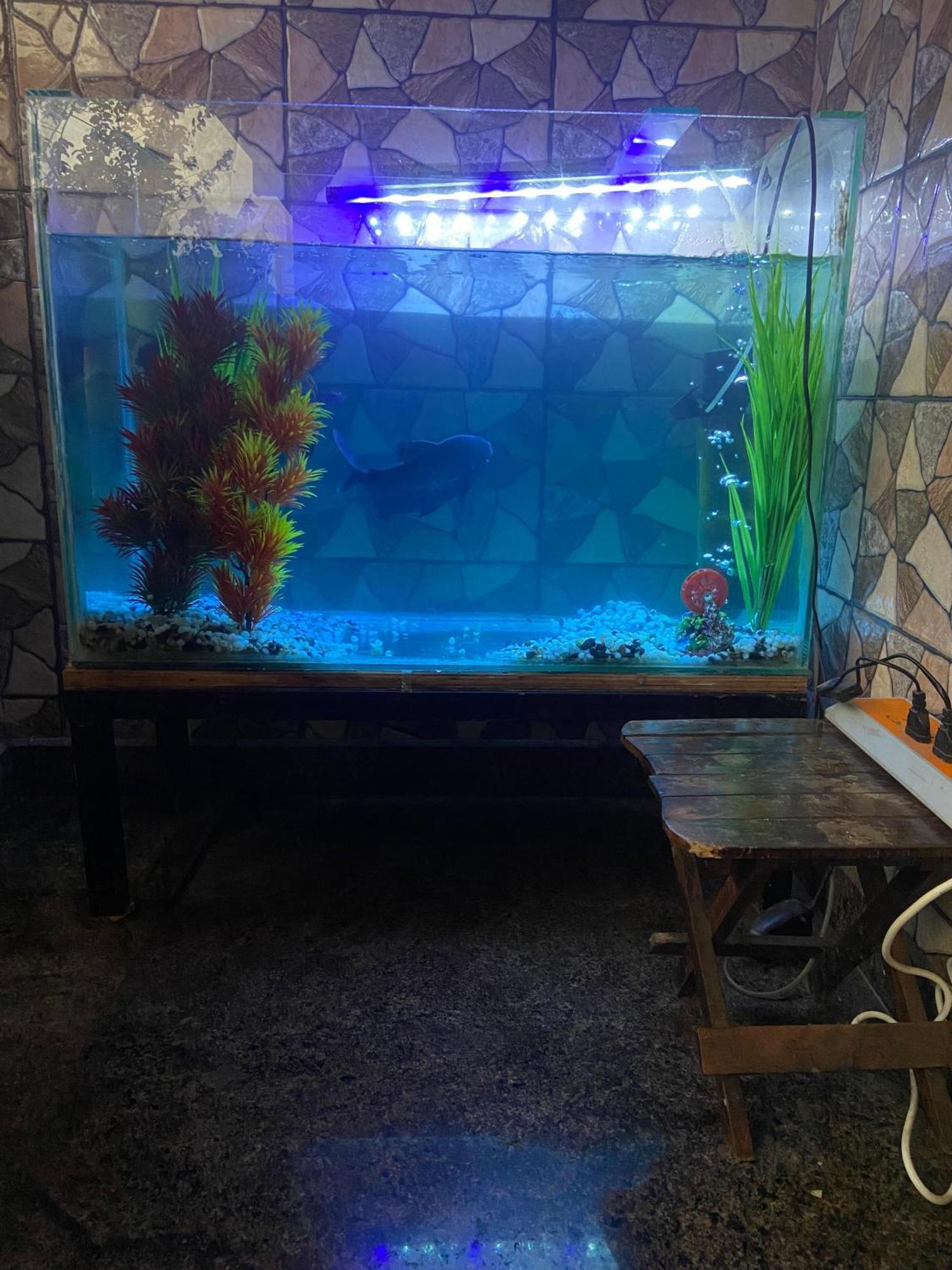Last Minute Trip Hostel 莫尔吉姆 外观 照片